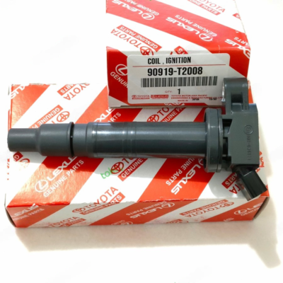 Igniter Coils