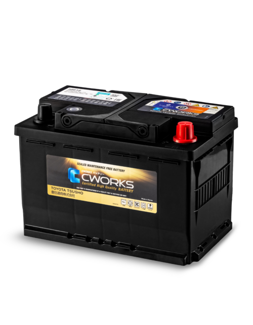 CWORKS 55AH DIN MF Battery